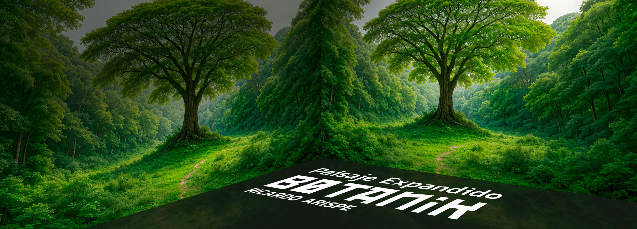 CCAM | Centro Cultural Arte Moderno Venezuela Botanik-2500x900