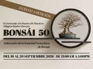 CCAM | Bonsái 50