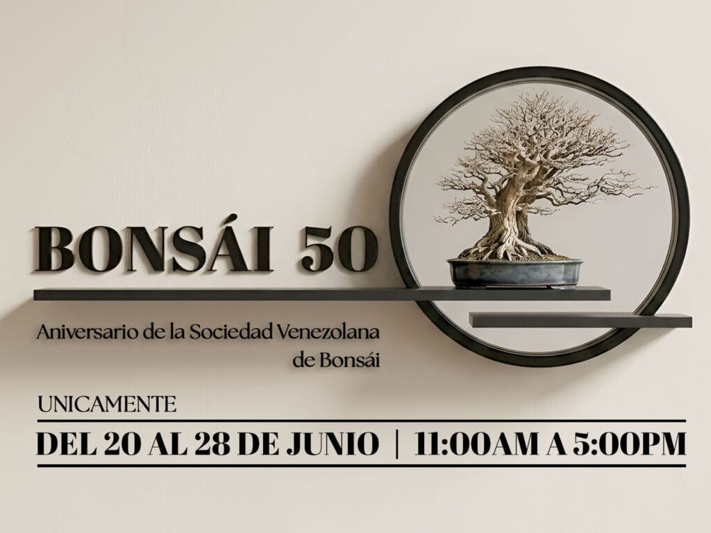 CCAM | Bonsái 50
