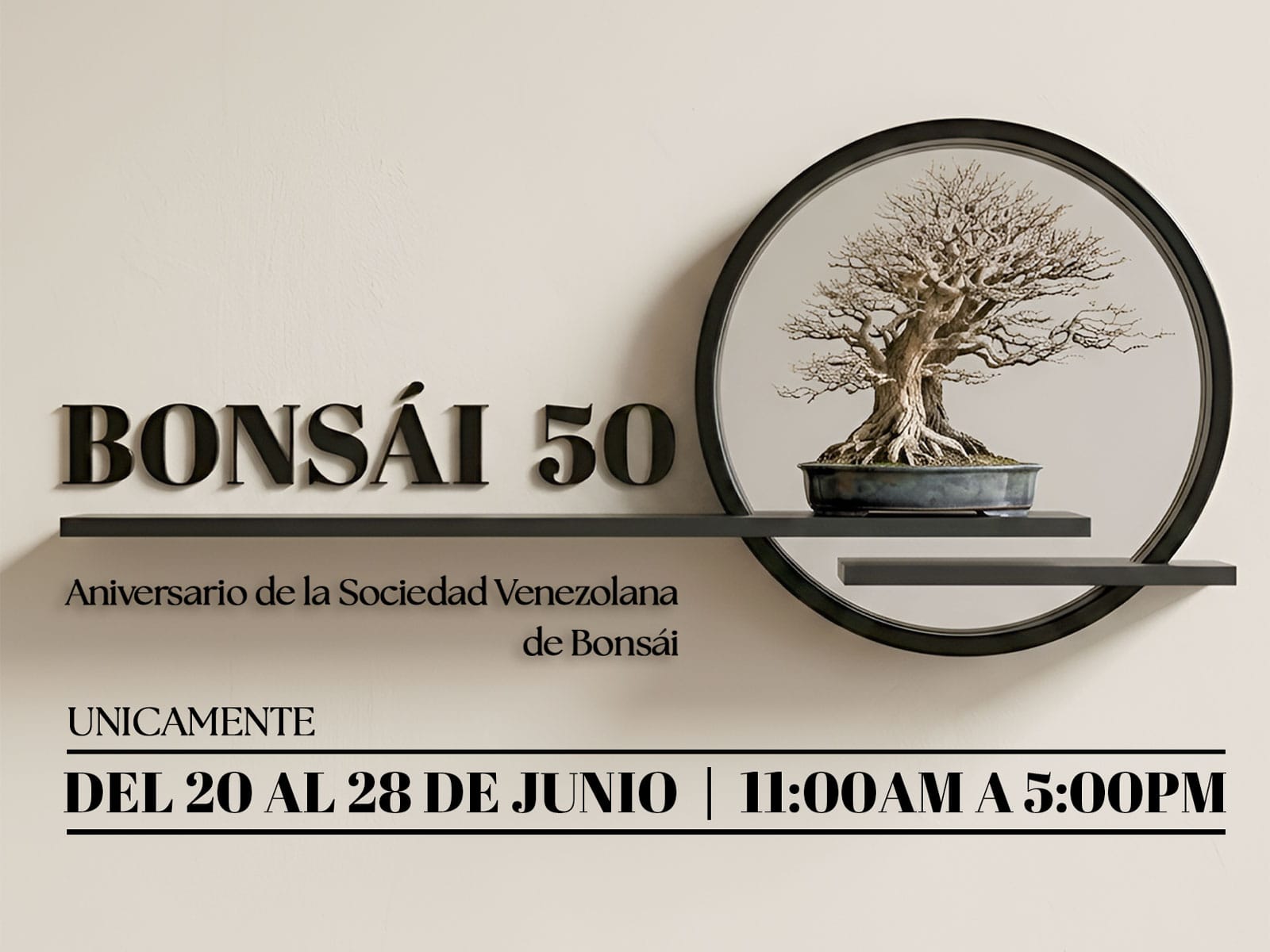 CCAM | Bonsái 50
