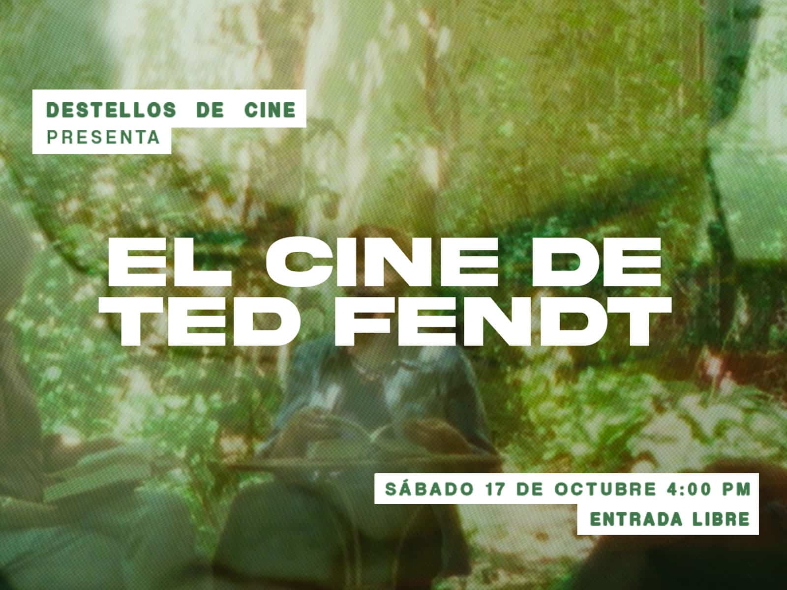 CCAM | Destellos de Cine: El Cine de Ted Fendt
